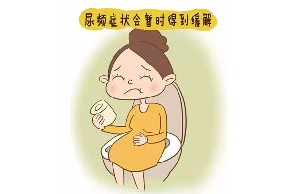 孕期尿频怎么办 孕期尿频原因 孕期尿频会早产吗
