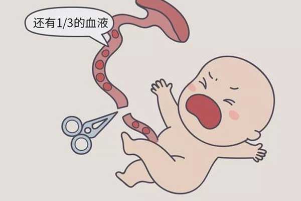 婴儿出生剪脐带防贫血 婴儿出生剪脐带