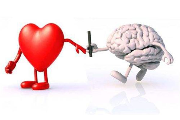 心脑血管疾病如何预防 引发老年人心脑血管疾病的因素