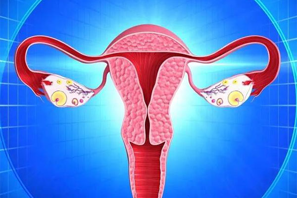 子宫肌瘤的常用检查项目有哪些 如何检查子宫肌瘤 子宫肌瘤怎么检查出来