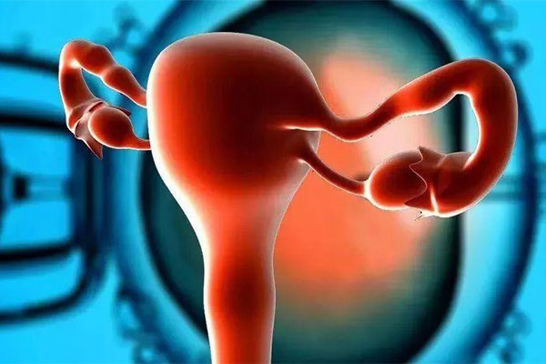 卵巢早衰是什么 卵巢早衰如何检查 检查卵巢早衰的方式