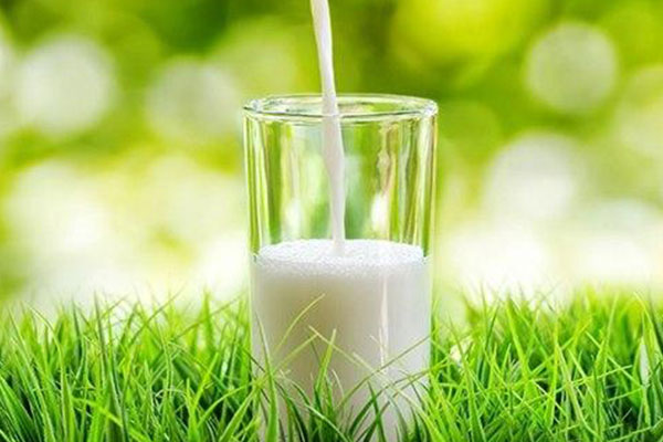 喝什么牛奶补钙比较好 哪些牛奶最补钙