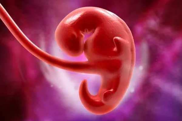 怀孕一个月对胎儿进行胎教管用吗?