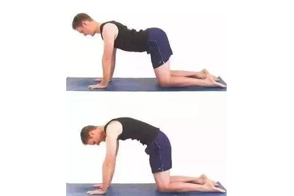 5个锻炼腰背肌的方法
