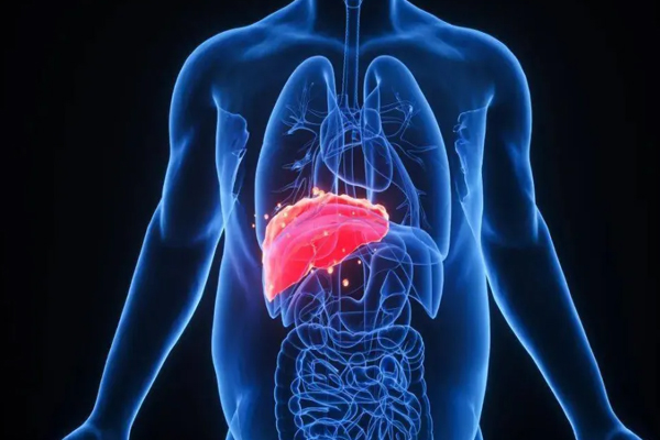 肝病,肝脏异常,肝脏异常的症状表现