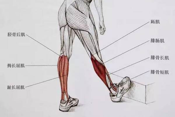 缓解膝关节炎的方法