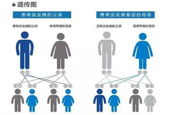 血友病遗传,血友病的发作,振东健康