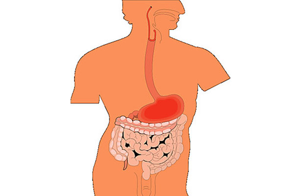 尿毒症会损害哪些器官