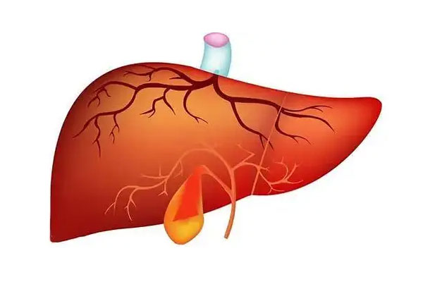 肝炎,肝炎患者的饮食原则