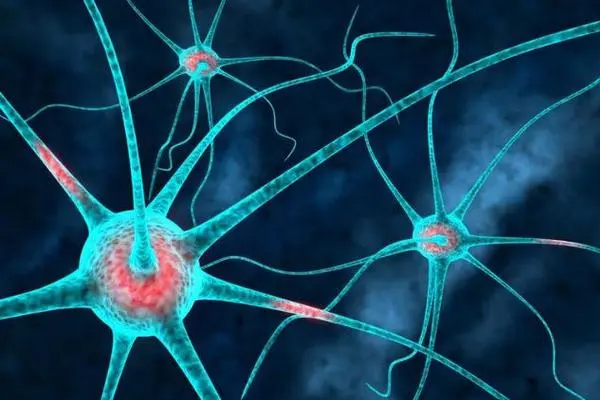 常见的神经疾病的原因有哪些？