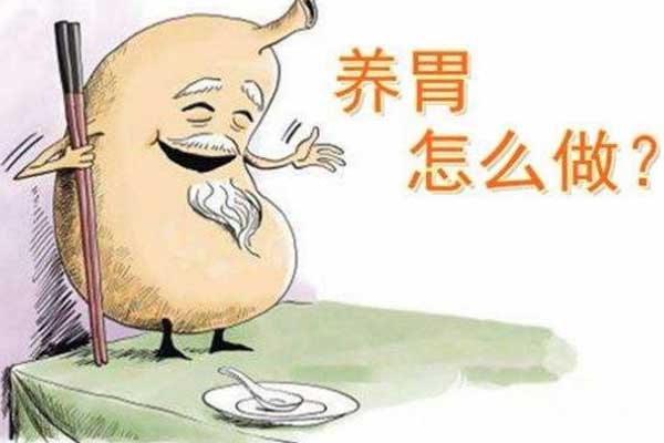 养胃饮食,养胃怎么做,养胃怎么吃,减轻胃部负担,