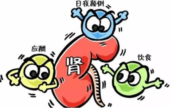 尿路感染和急性肾小球肾炎的区别
