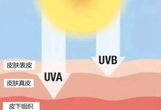 UV辐射与皮肤癌，防护皮肤