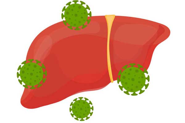 什么是甲肝,甲肝的危害,感染甲肝的原因