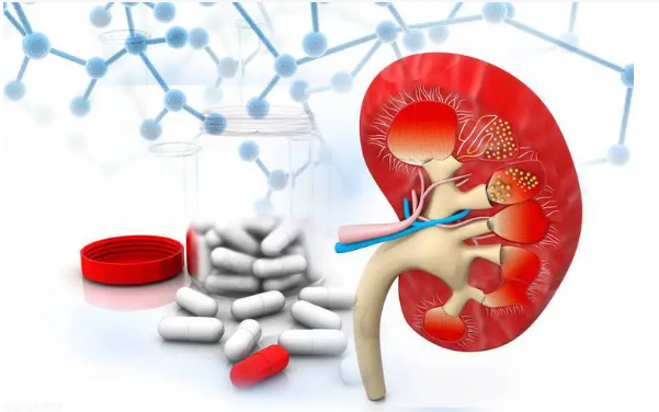 肾病，肾病用药误区