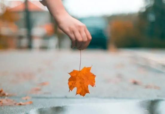 季节性抑郁症，季节性抑郁症的原因