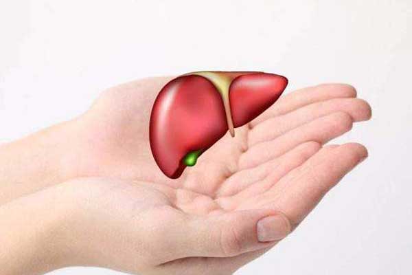 吃肝补肝真的有用吗,如何养肝护肝
