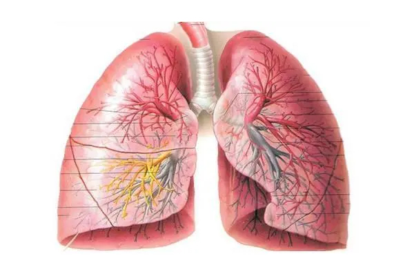 肺水肿,肺水肿的发病机理